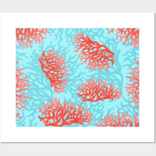 Living Coral Posters and Art